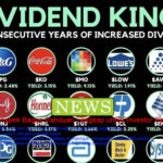 dividen saham